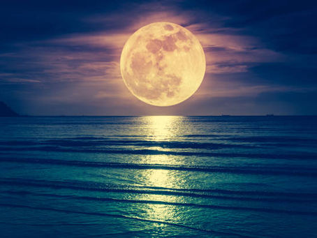 11月8日、今晩は牡牛座満月🌕