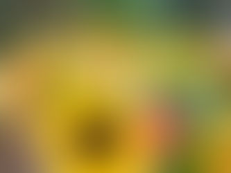 愛される女性になるには