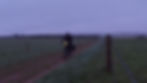 Cyclist riding at dusk on a dirt path through a grassy field, carrying bags on the bike. Gloomy atmosphere with distant lights visible.