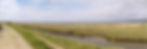 A serene landscape with a grassy path, river, and vast field under a cloudy sky. Distant city skyline visible on the horizon.