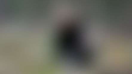 Bäume fürs Betriebsklima - Weihnachtsfeier mal anders