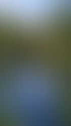 Respirer en conscience pour apaiser le stress