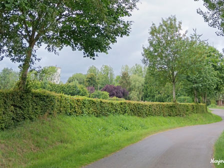 Se relier à la respiration en marchant