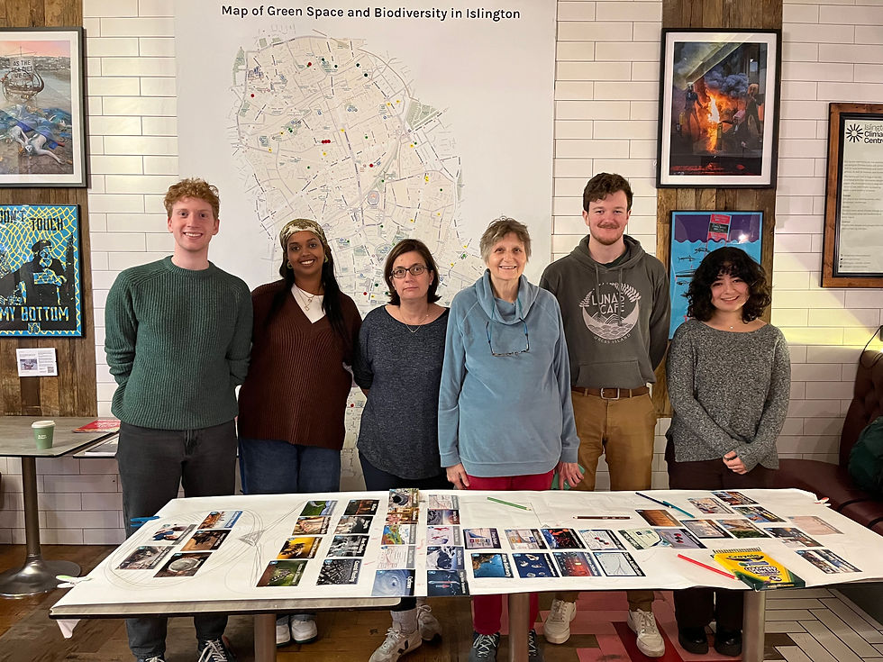 Climate Fresk Workshop