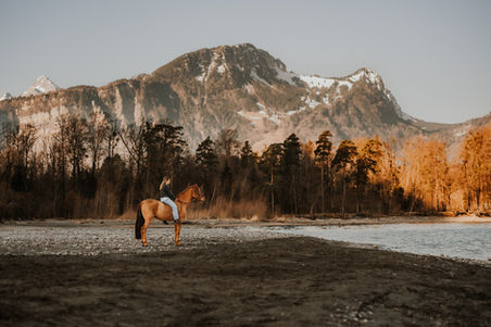 Pferdefoto Walensee Weesen Schweiz
