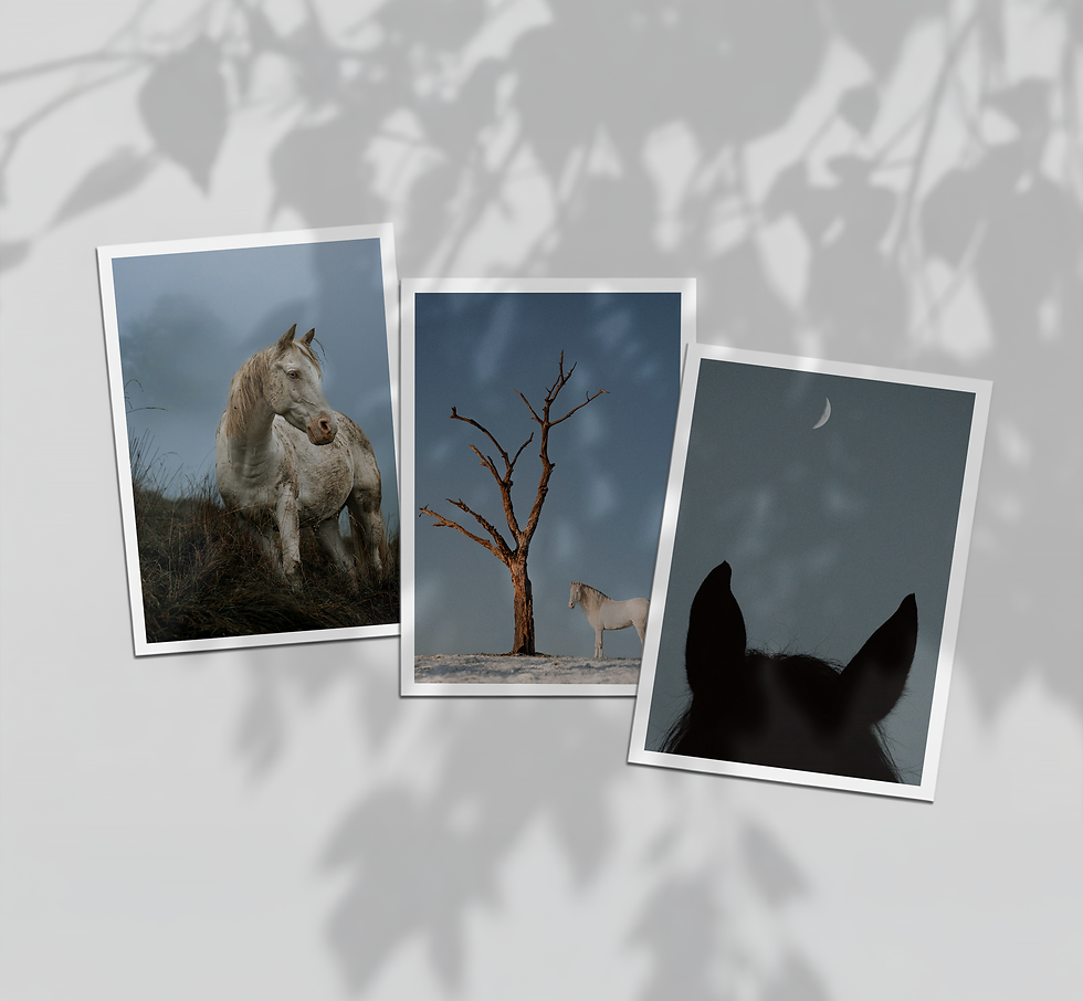 Miniaturbild: Postkartenset - Quiet Spirits