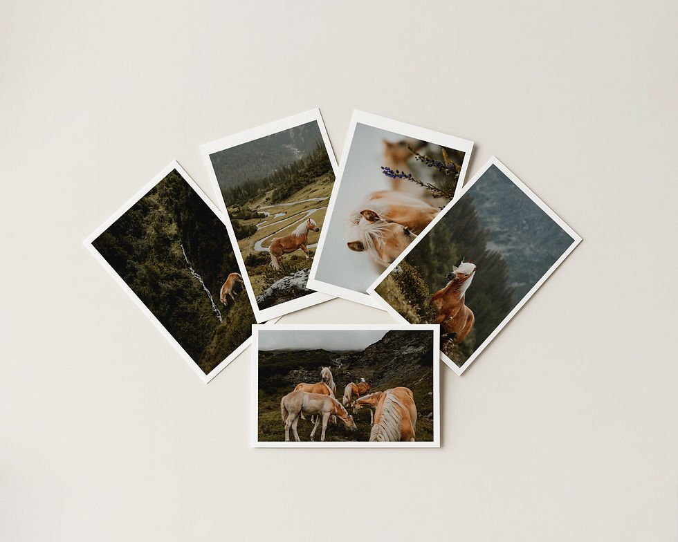Miniaturbild: Postkartenset - Alpine Equine Enchantment