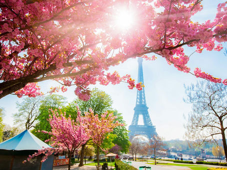 Your Ultimate Guide to Exploring Paris: Tips, Itineraries, and More