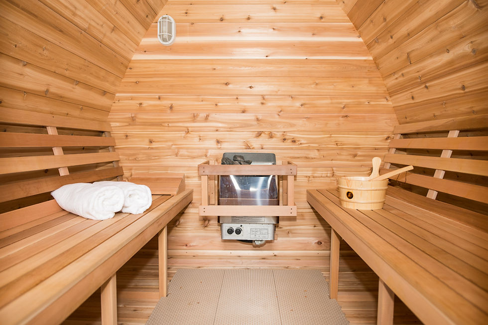 Finland Home Sauna