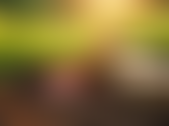 Improving Turf Health: Best Soil Testing Practices