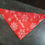 Thumbnail: Dog Triangle Christmas Bandana
