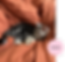 Group 136.png