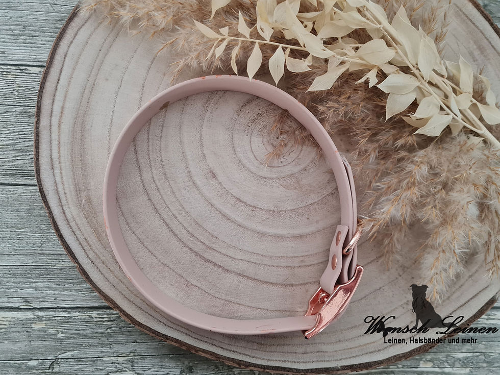 Miniaturbild: Biothane Halsband Powder Tan