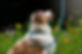 IMG-20190909-WA0021.jpg