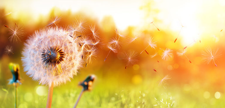 iStock-1137402783.jpeg