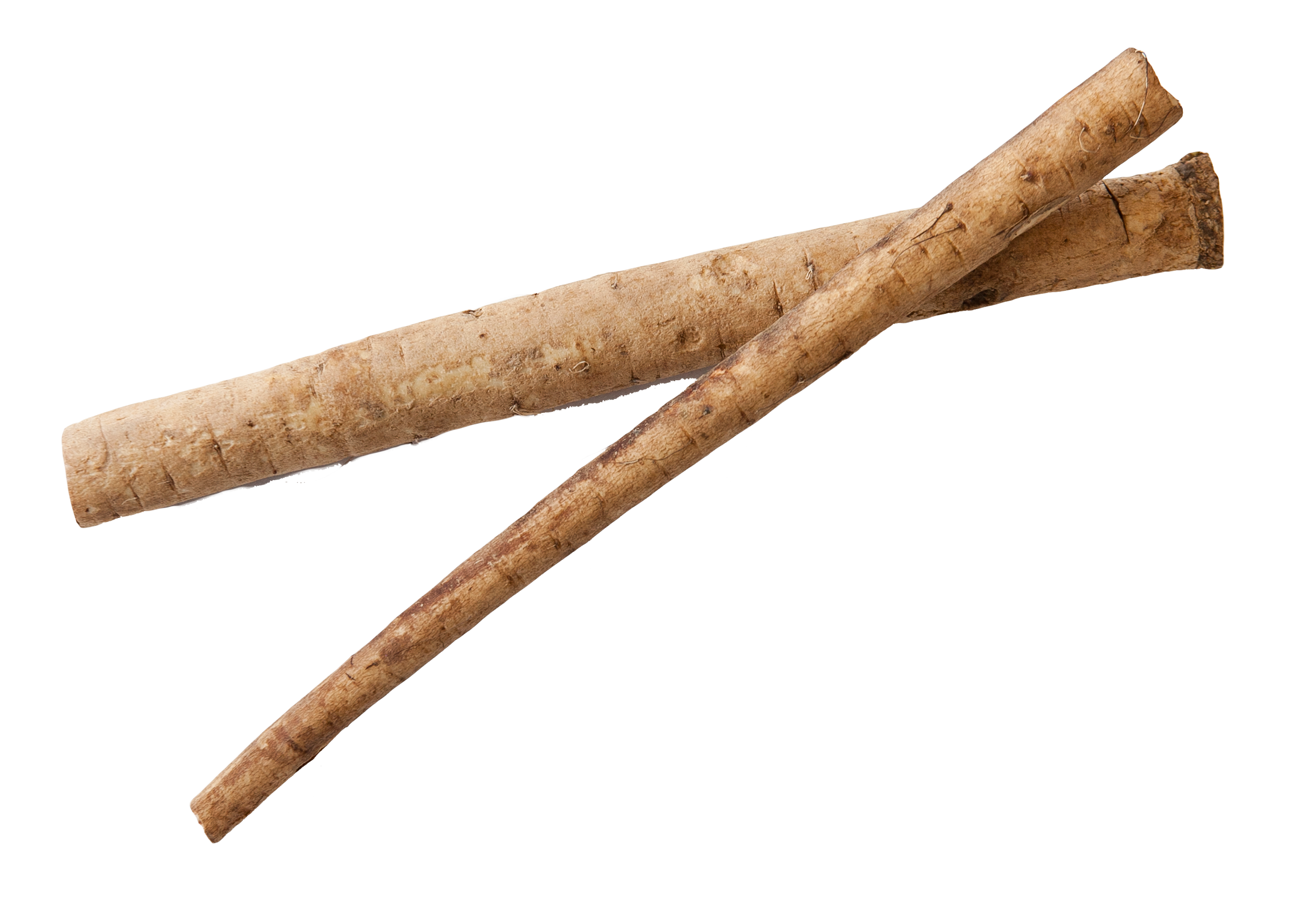 Burdock Root - 1oz