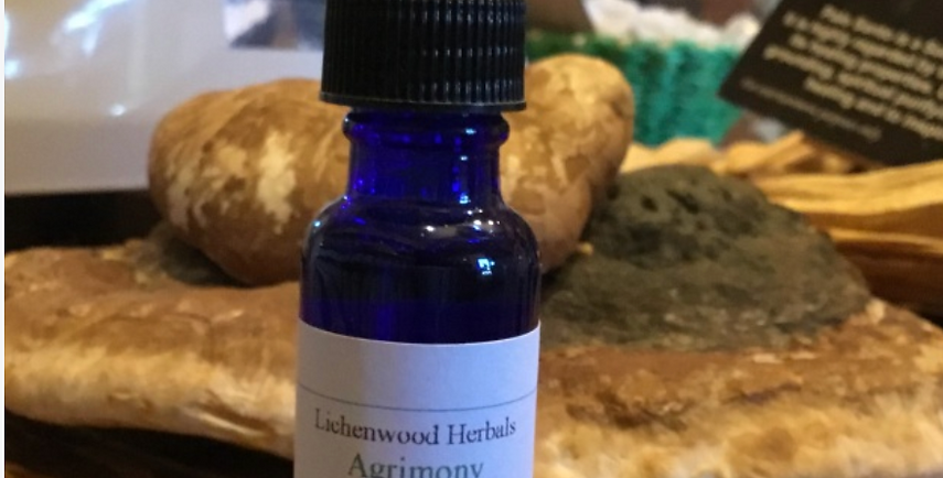 Lichenwood Flower Essence: AGRIMONY ESSENCE