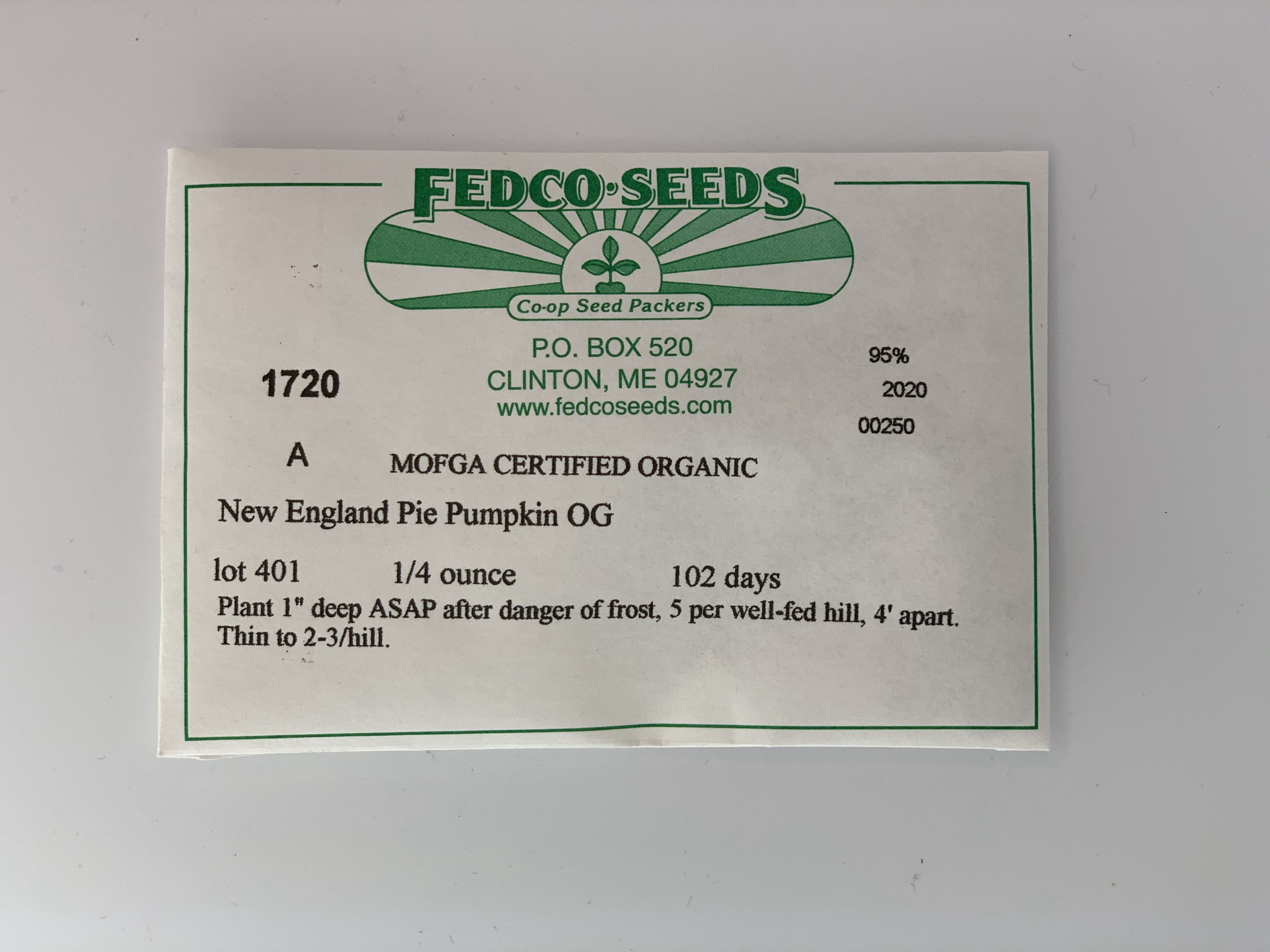 New England Pumpkin Pie Seeds