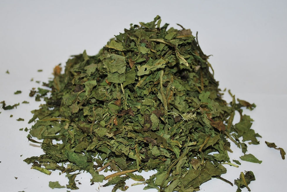Thumbnail: Dandelion Leaf - 1oz
