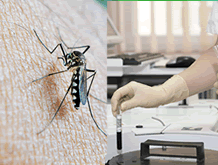 Anvisa registra kits