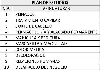 PLAN BELLEZA.png