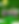 Green Minimalist Kids Summer Camp Flyer (10).png