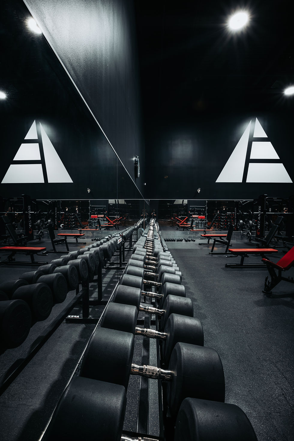 The Gym Iron Energy Gym