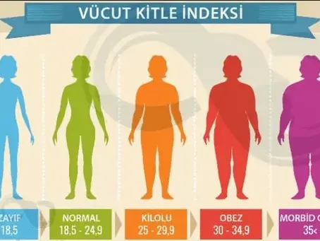 📏 Vücut Kitle Endeksi (BMI) Hesaplama: Sağlıklı Kilo Aralığını Öğren
