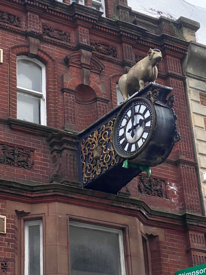 Take a moment to look up!