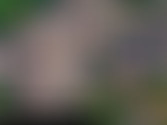 GUARCINO, BORGO MODELLO