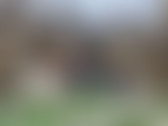 MARINA DI CERVETERI INVASA DAI RIFIUTI