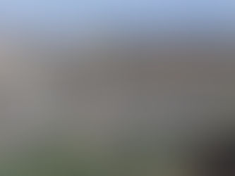 Rifiuti: Raggi, Tar annulla ordinanza Zingaretti, vittoria di tutti i cittadini