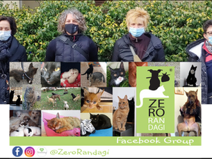 UN'OASI PER I CANI RANDAGI