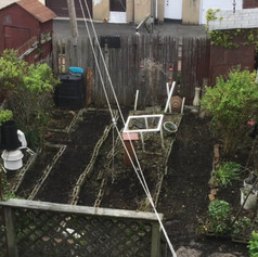 After the spring clean up