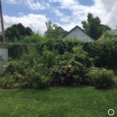 Before, spring clean up