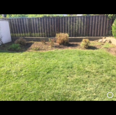 After,spring clean up