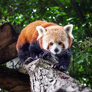 csm_zoo-600x600_05621f7771.jpg