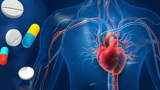 Magnésium, musculation et calcification