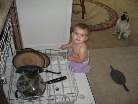 Dishwasher Fun