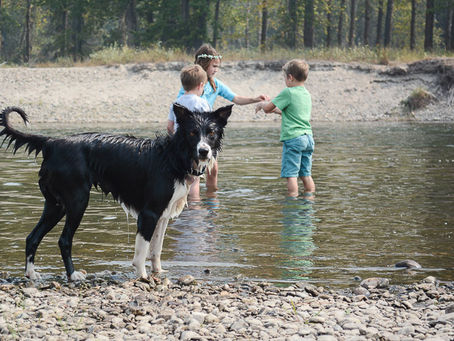 {Everyday Adventures} Summer Days