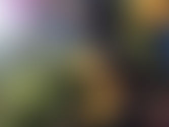 {Wordless} Colors of Fall