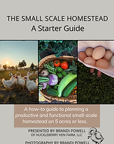 NEW E-BOOK!