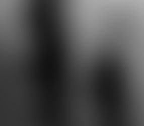 I have the tutu and the shoes …