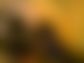 ¿Cómo han evolucionado los influencers?