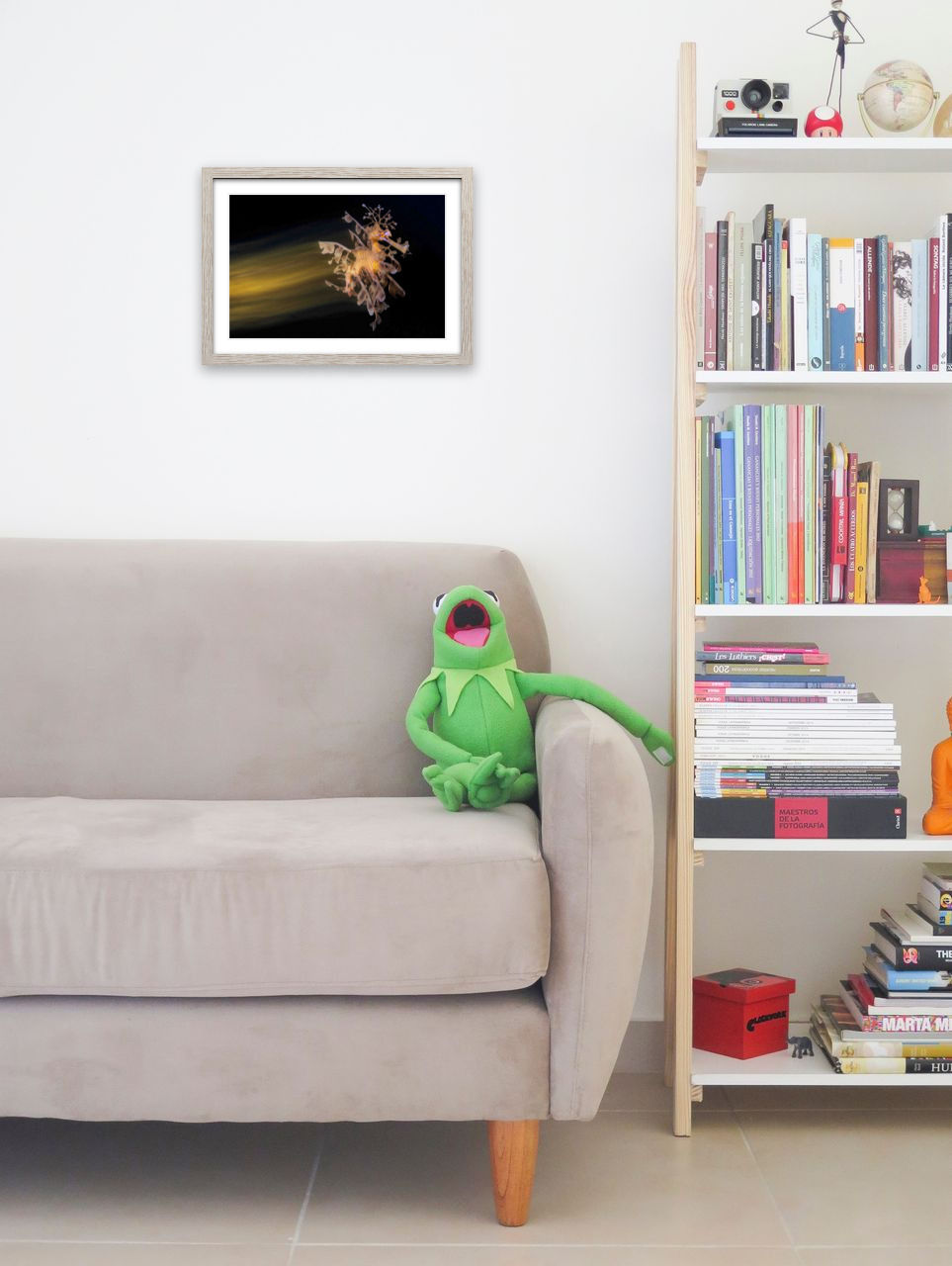 Leafy Seadragon in frame