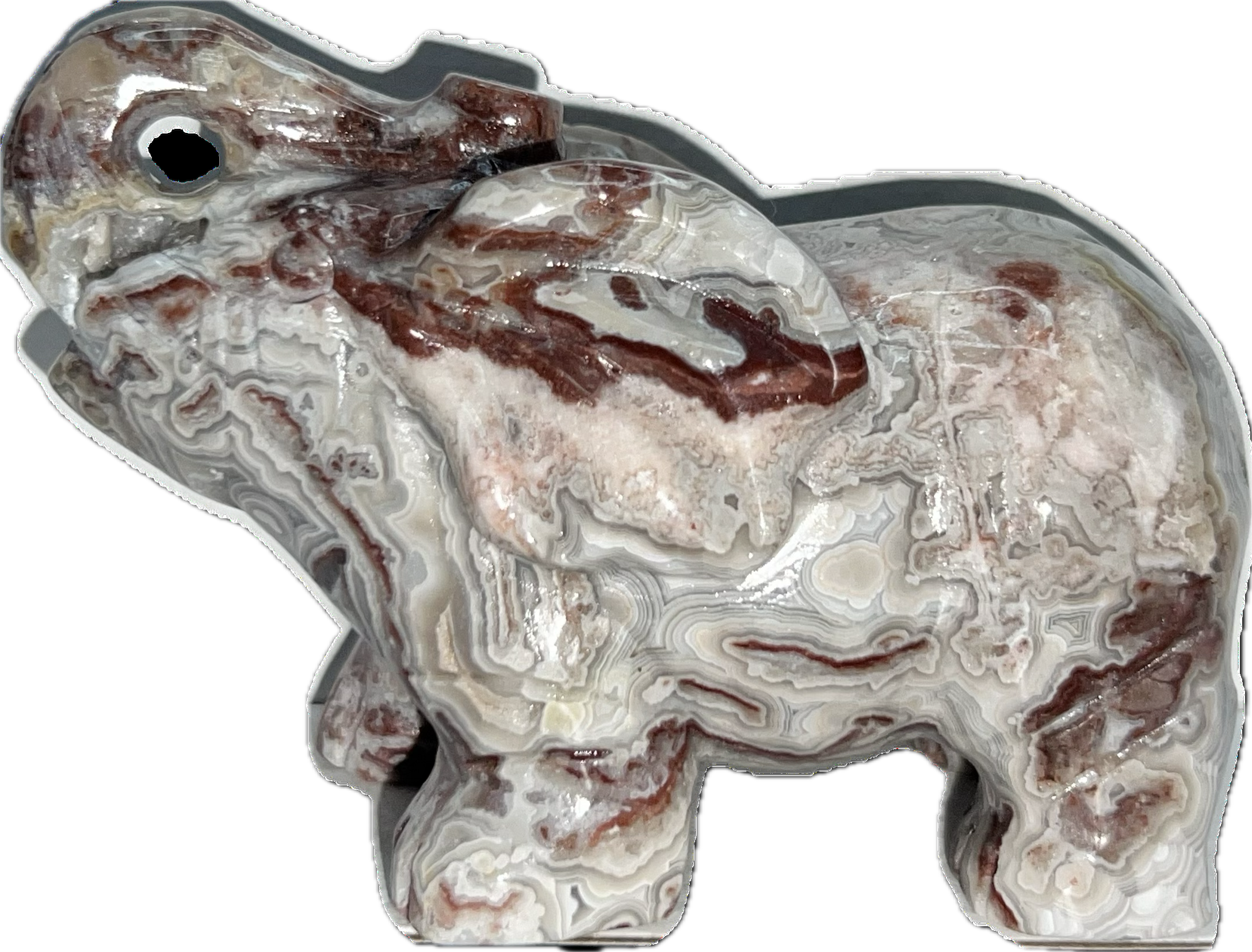 Mexican Lace Elephant