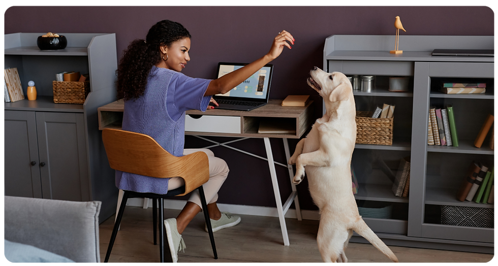 freelancer working from home