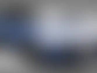 FORD TAURUS 2023