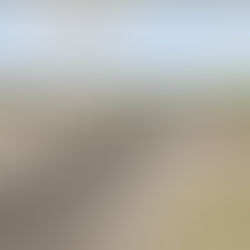 Texas USA BeamNG Map