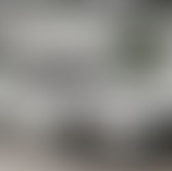 Honda Civic Type R - BeamNG MOD